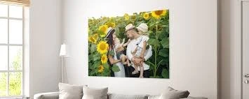 Customized Crust PVC Foam Board